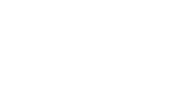 Mentorix